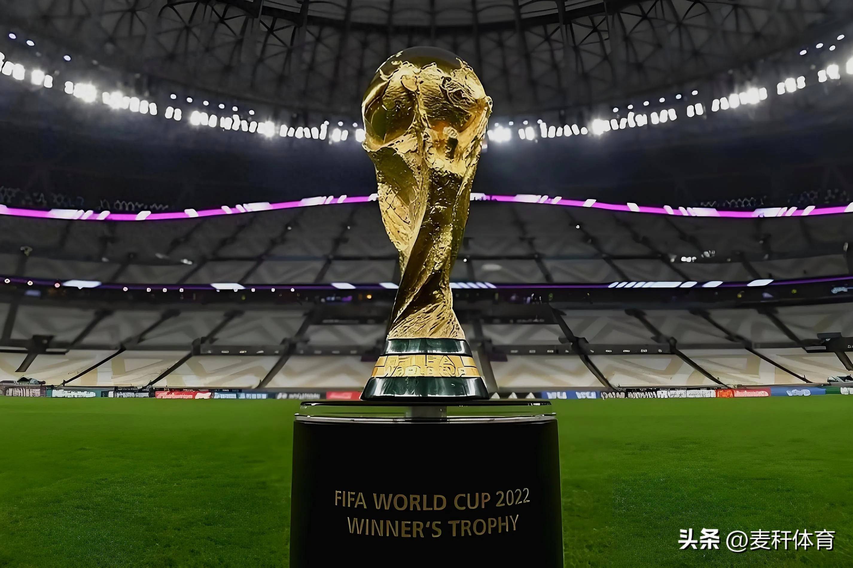 广东队在季 广东队在季