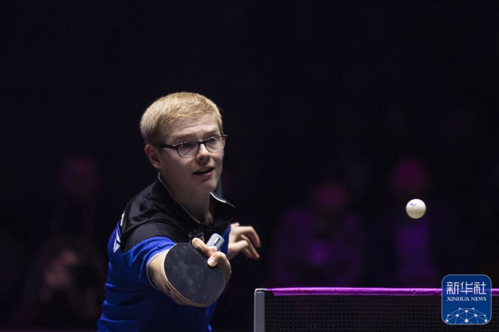 公牛球迷为 公牛球迷为