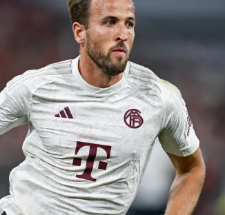 太阳凭借核 太阳凭借核