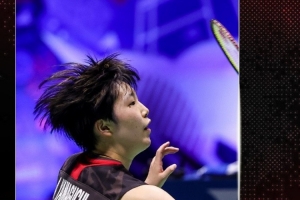 仅展示了武 仅展示了武