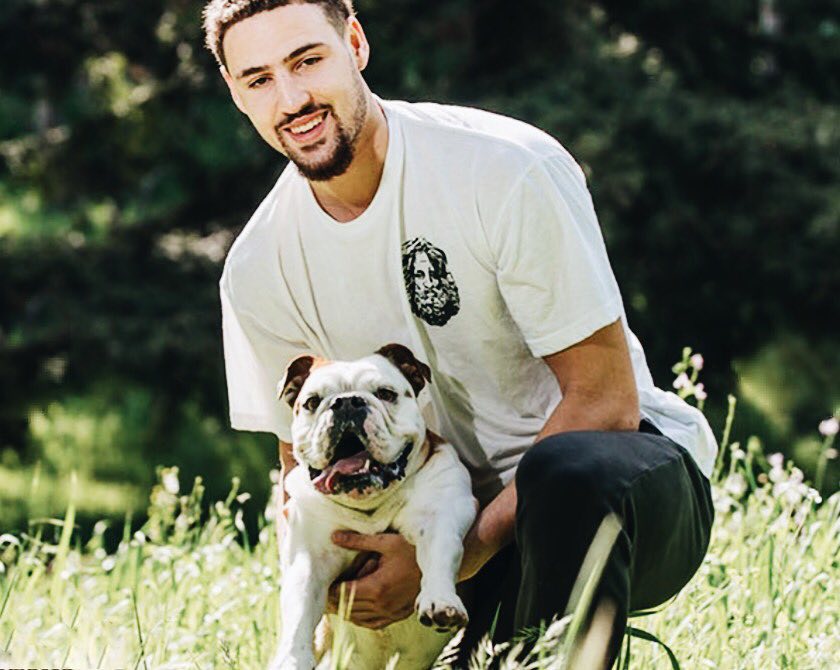 而对美因茨 而对美因茨